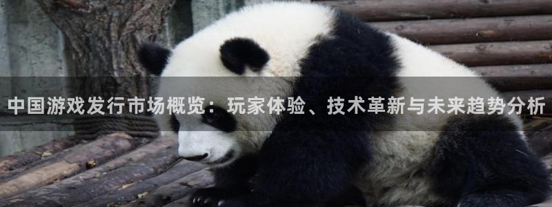 usdt认证：中国游戏发行市场概览：玩家体验、技术革新与未来趋势分析