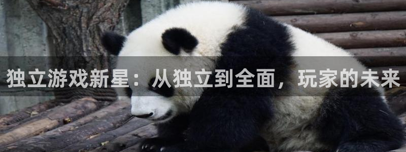 usdt币合法吗