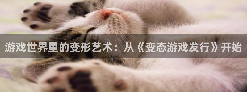 usdt放什么钱包：游戏世界里的变形艺术：从《变态游戏发行》开始